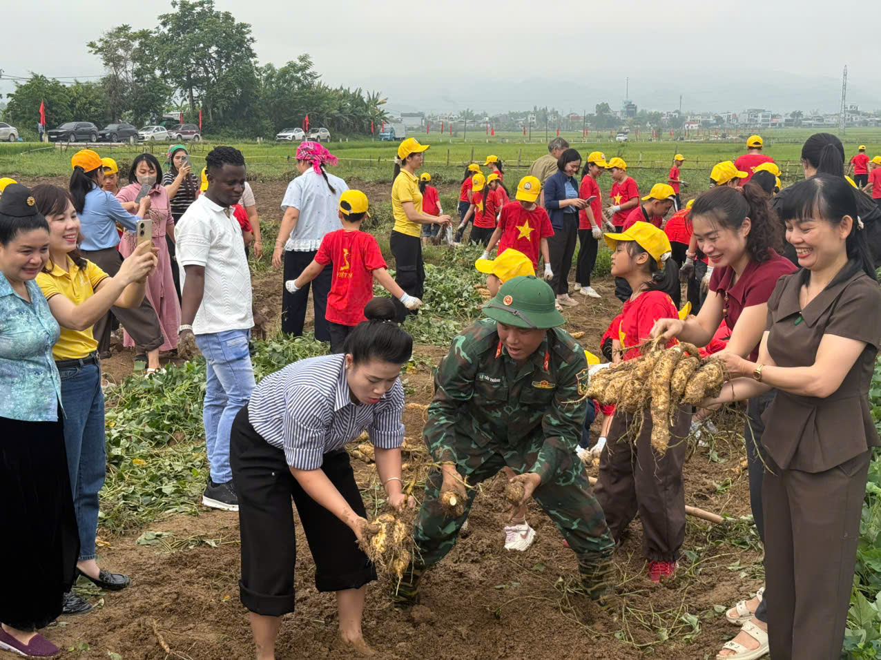 HỌC SINH TRƯỜNG TIỂU HỌC NAM THANH TRẢI NGHIỆM ĐÀO KHOAI – KẾT NỐI GIÁO DỤC VỚI THỰC TIỄN ĐỊA PHƯƠNG