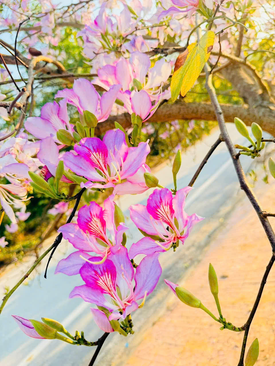 z6392554815274 04406613309c46833bd7ca54d8a7301d