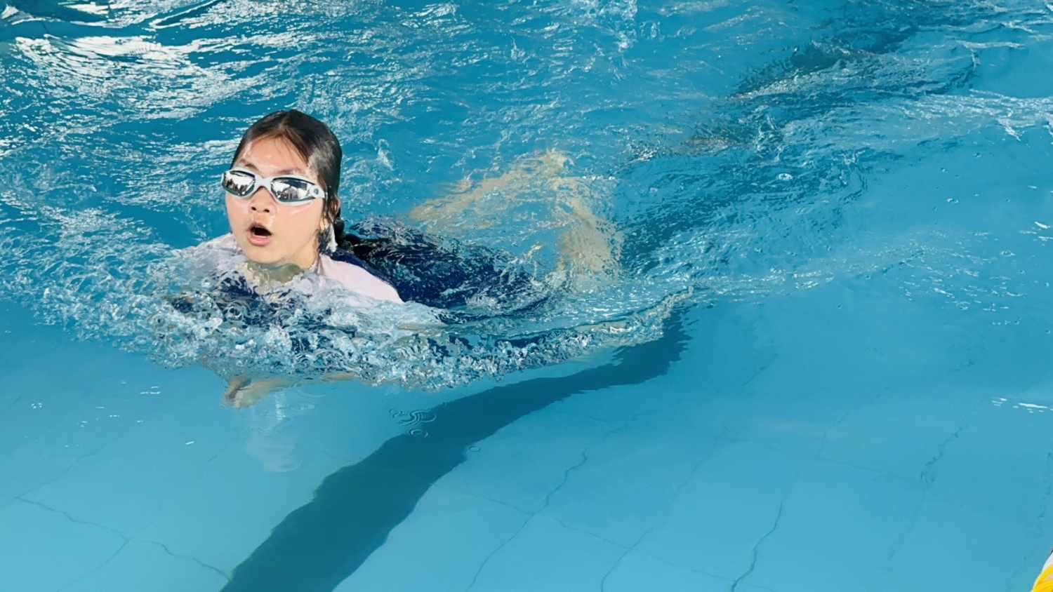 z6613883561610 0a5e16df6afb3dc59039bcba9d4883a3